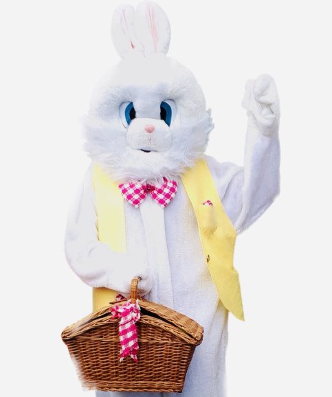 Our easter bunny visits are a vibrant and fun filled choice where we bring the spirit of Easter to life. Turn Easter into an eggstrvaganza this year with a visit from the Easter bunny who will bring magic, egg hunts and eggcitement to you this Easter!