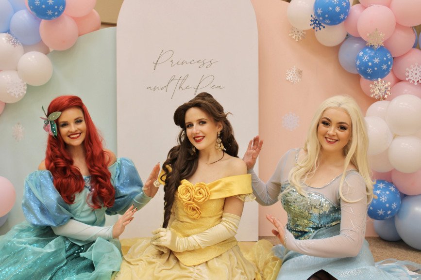 The Mermaid Princess, Princess Beauty and The Ice Queen sat together