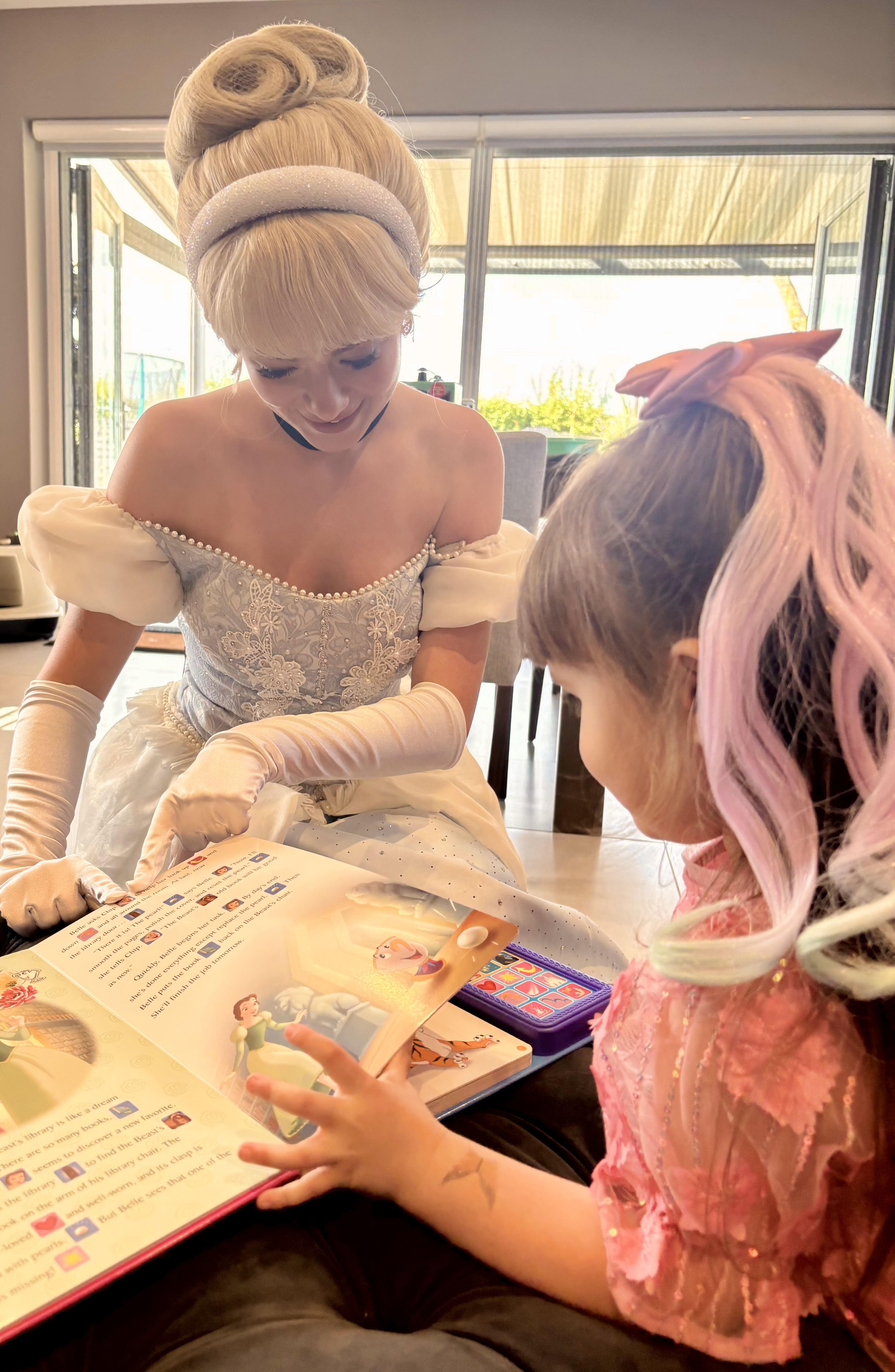 The Glass Slipper Princess