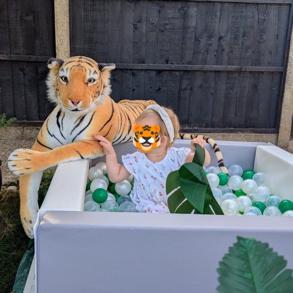 Safari theme softplay