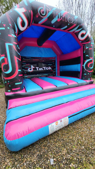 TikTok Bouncy Castle 15x15 great for all ages