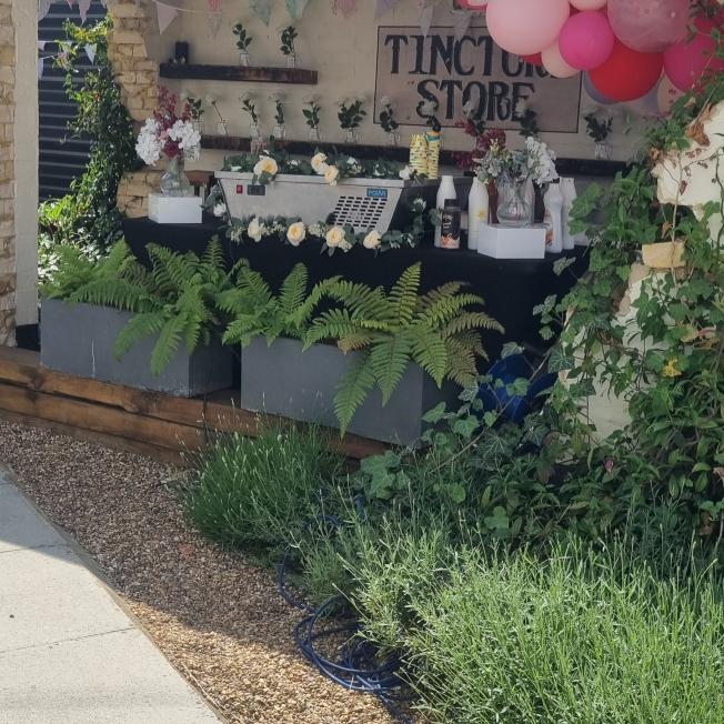 Sweet Dreams Luxe - Event Decor and hire