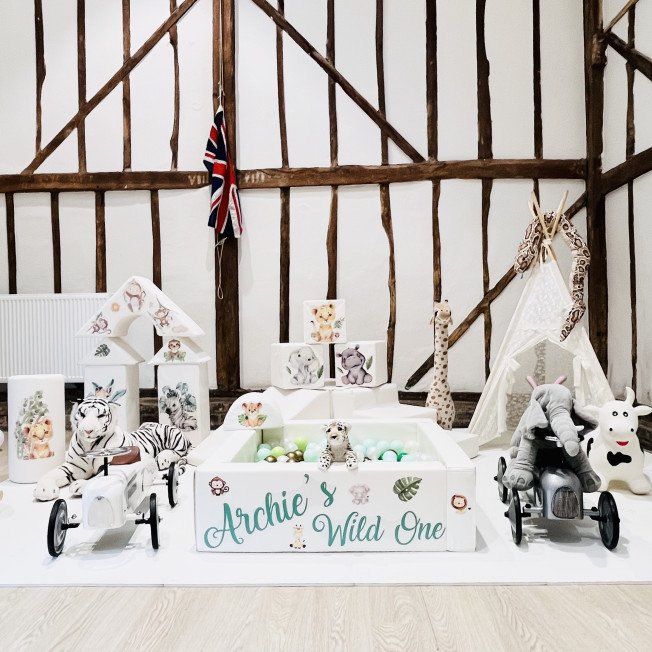 Bright Moon Luxury Soft play